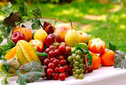 Ökotrophologie Studium